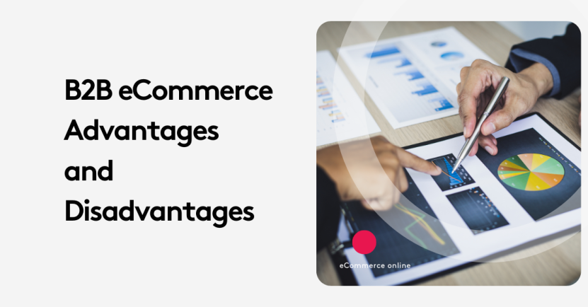 The Truth About B2B E-Commerce: Pros & Cons Uncovered