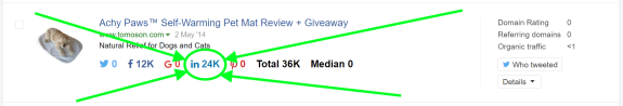 Achy Paws pet mat review with social media metrics highlighted in green.
