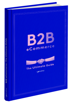 B2B eCommerce eBook