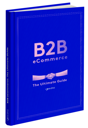 B2B eCommerce: The Definitive Guide